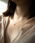 A symbolic crescent moon and North Star each strung on a thin delicate chain - Polaris necklace by The Hexad