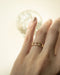 Essential chain ring design - Forte ring by The Hexad