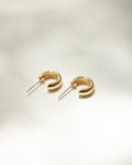 Golden Suzi hoop earrings in classic style @Thehexad