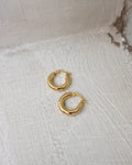 chubby thick hoop earrings in 24k gold plated - thehexad jewelry