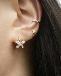 lovely butterfly huggie earrings for the dainty jewelry lovers